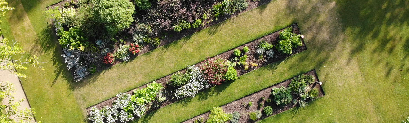 botanic garden drone  taxnomic beds 3  summer