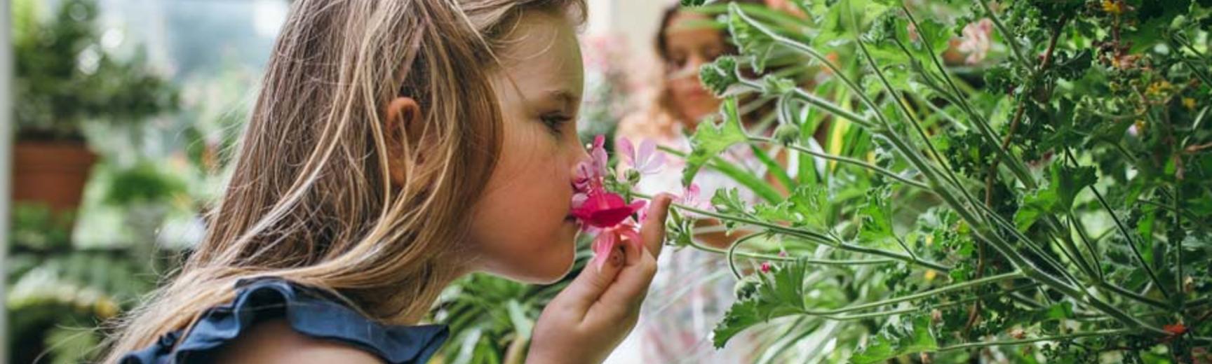 Child in the Conservatory Smelling Flower (Wallman Lo Res)
