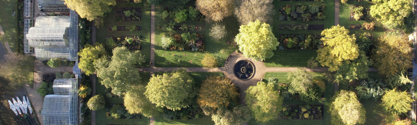 oxford botanic garden autumn 2021 drone