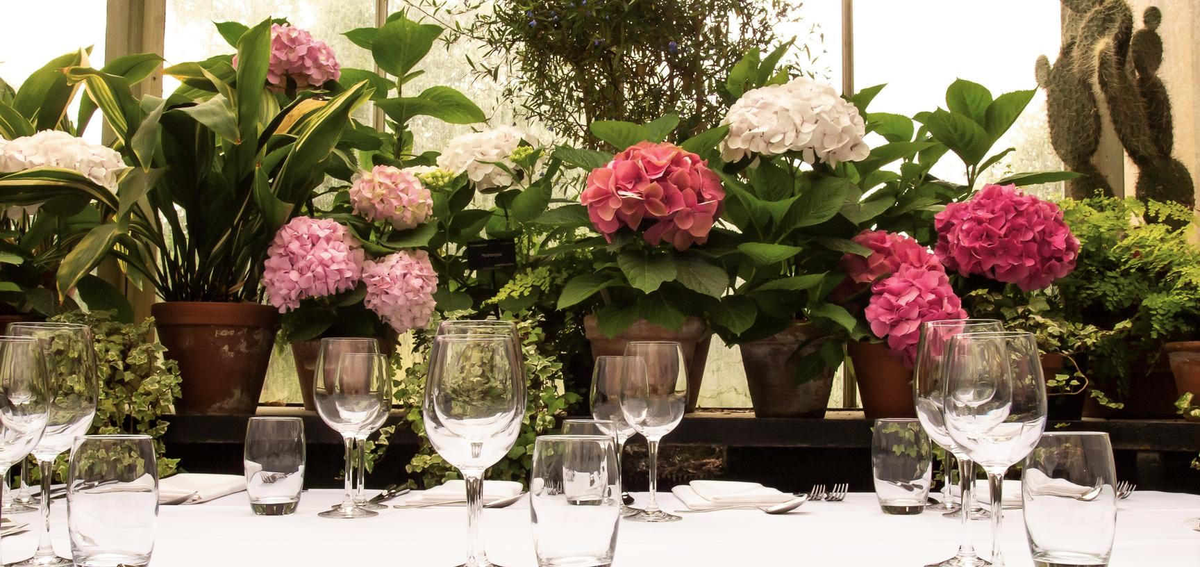 conservatory  venue hire  events  oxford botanic garden