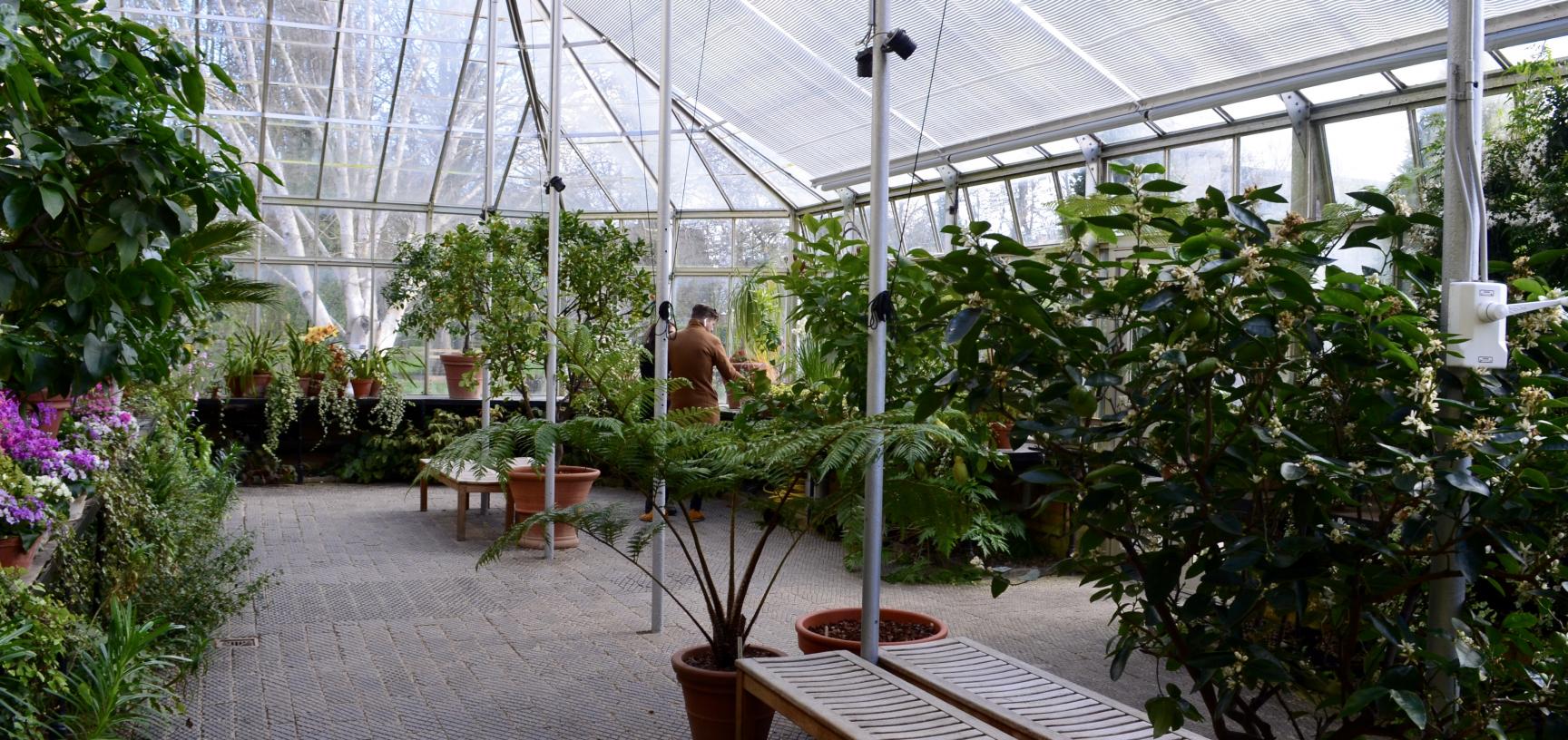 Conservatory Interior