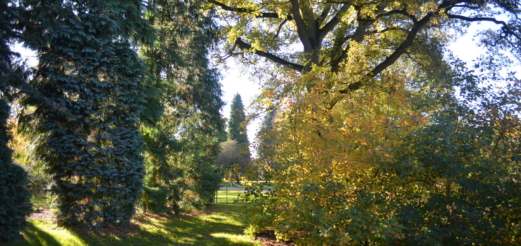 Sunset Arboretum