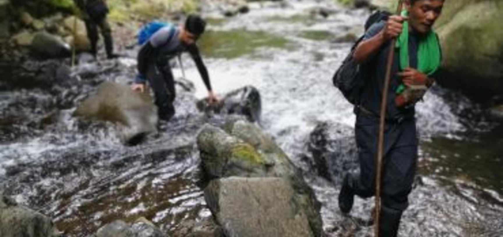 The expedition team, led by a member of the Banao Indigenous Community in a remote rainforest in Kalinga, the Philippines. Image credit: Dr Chris Thorogood.