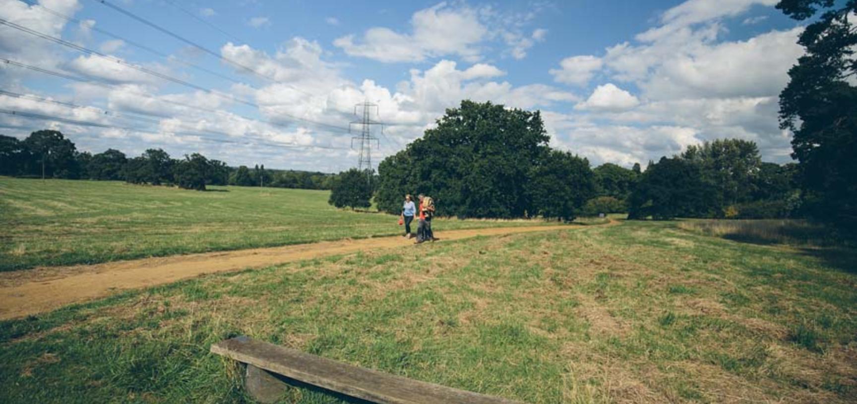 Family Walking Arboretum Meadow (Wallman Lo Res)