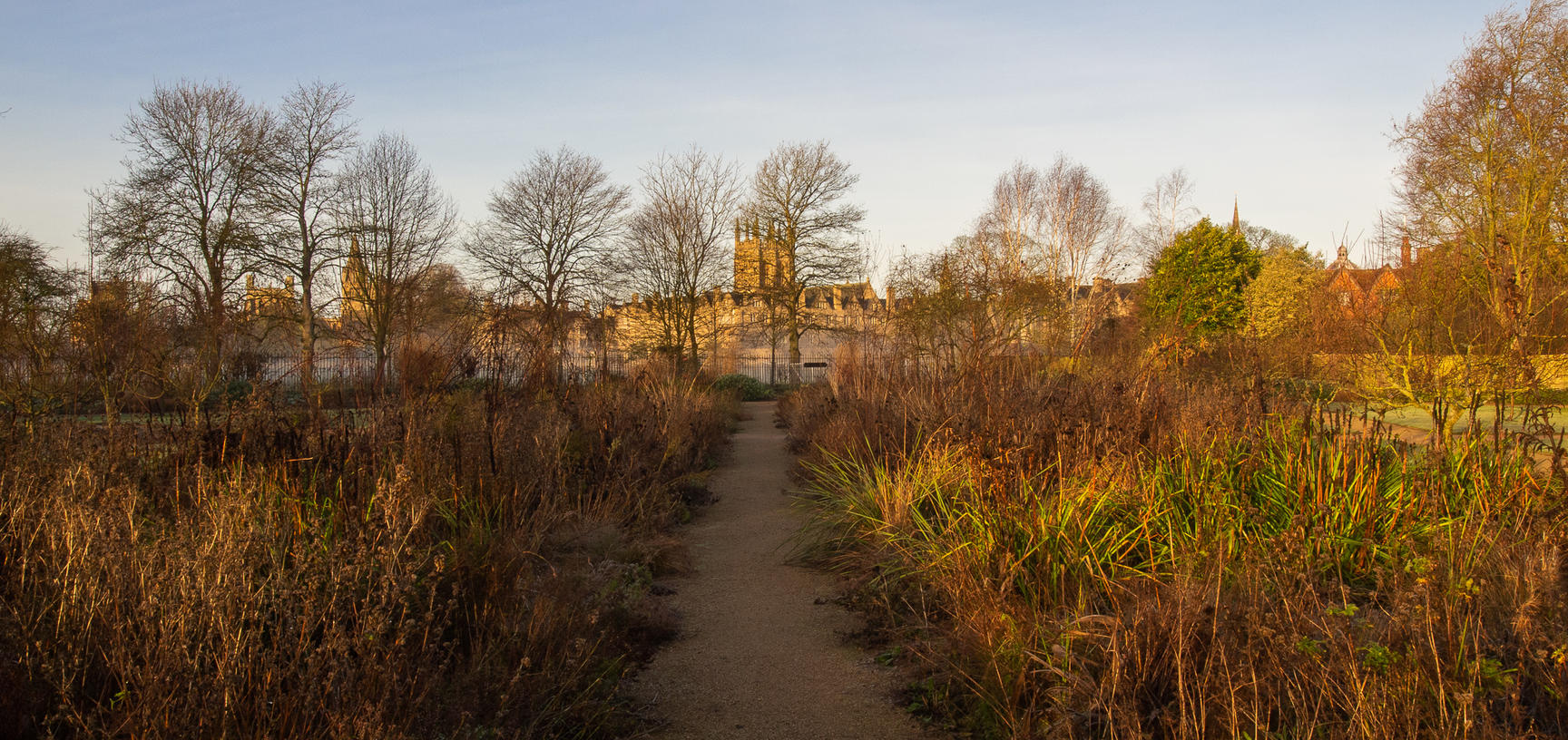 merton bordersp1011400