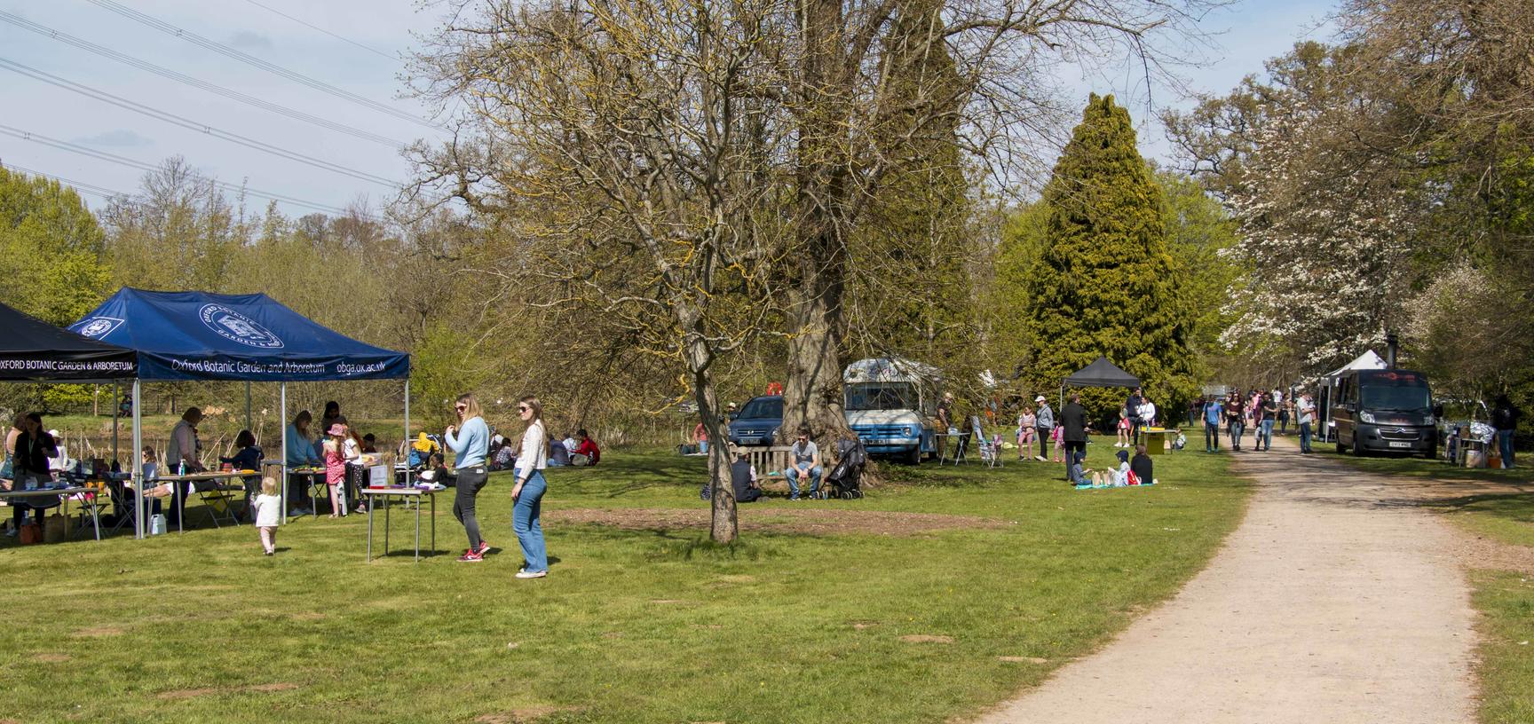 spring awakening