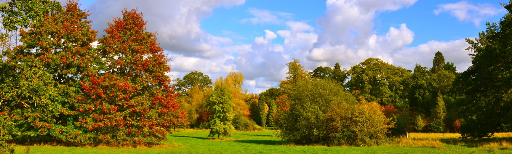 Late Summer at the Arboretum