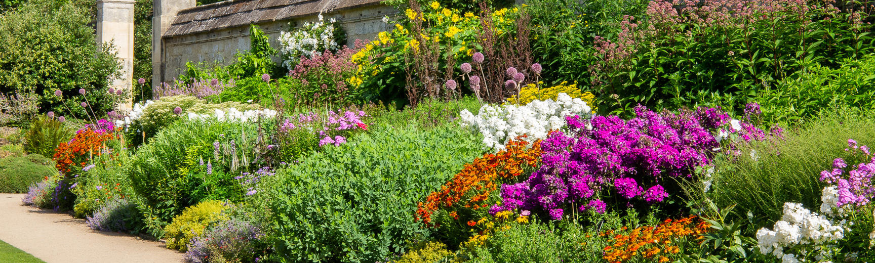 herbaceous border  summer  lower garden  oxford botanic garden