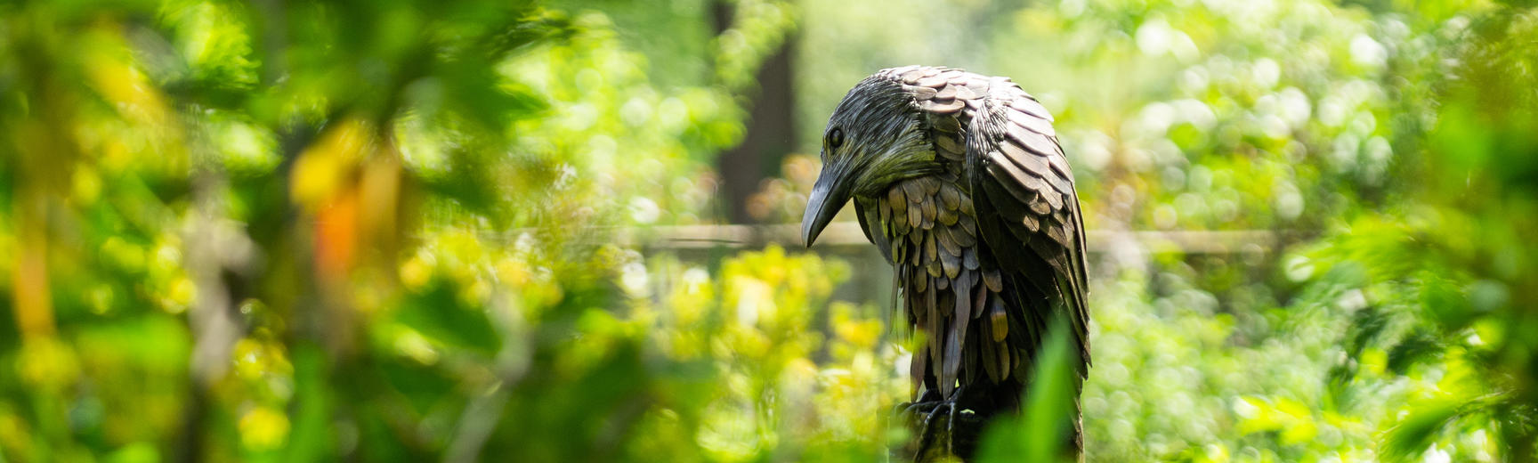 Daemon Sculpture In The Lower Garden Oxford Botanic Garden And