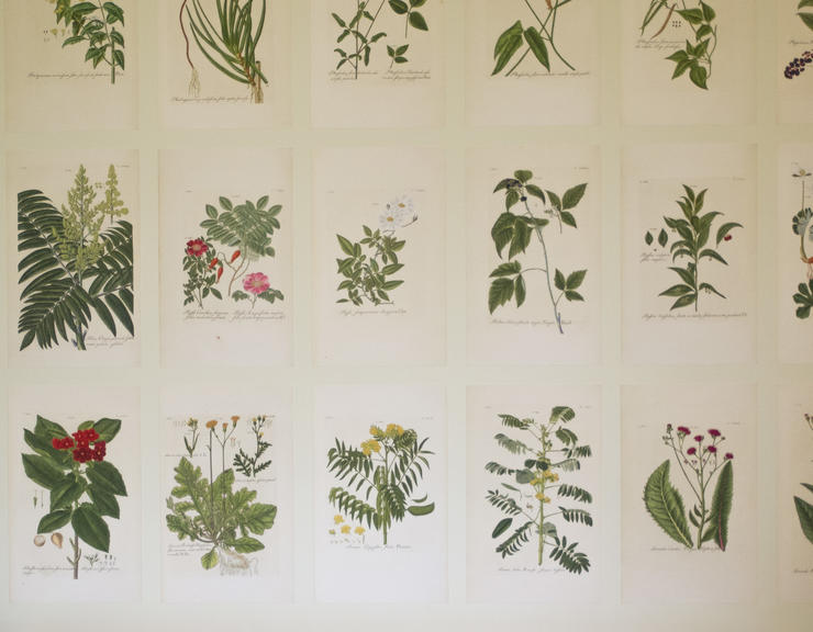 Herbarium Room Oxford Botanic Garden and Arboretum