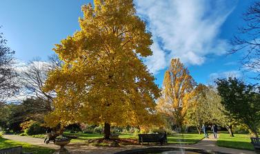 autumn 2023 by helene tronc