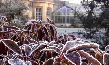 The Walled Garden in Winter