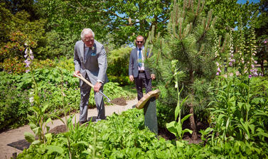 HM King Charles III planting a black pine sapling