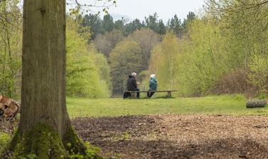 Two older people sit on a bench in the middle distance at Harcourt Arboretum. The weather is grey, and there are trees in the foreground and background. 