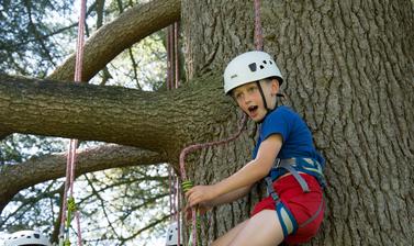 Tree climbing 