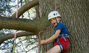 Tree climbing 