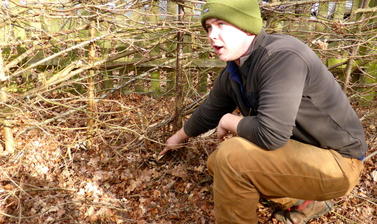 b1 11 hedge laying done by volunteers explained