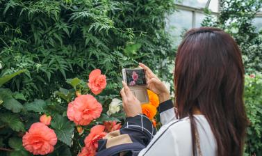 Visitors in the Conservatory (Wallman Lo Res)