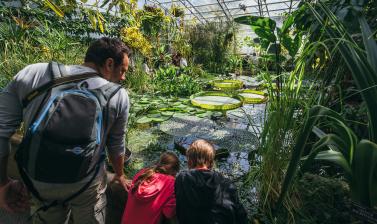 Wallman Lily House Family Children HIGH-RES