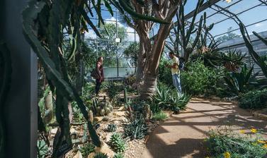Arid House
