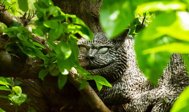 cheshire cat  literary woodland  botanic garden  walled garden  p1011252