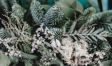 christmas wreath  image by georgia de lotz unsplash