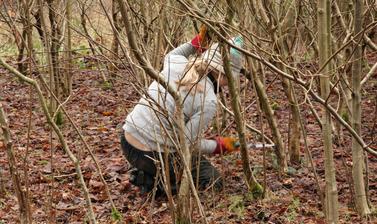 coppice and staff