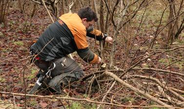 coppice and staff