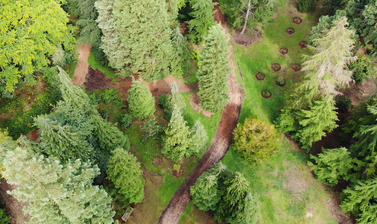 drone harcourt arboretum