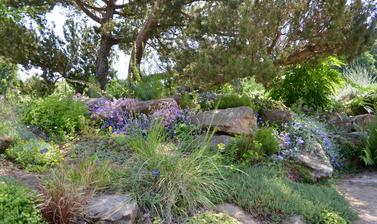 The Rock Garden in Summer