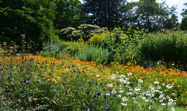 The Walled Garden