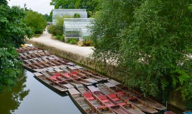 River Cherwell with Glasshouses and Punts