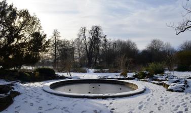 Lily Pond and Snow