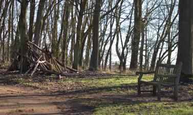 Lime Wood in Winter