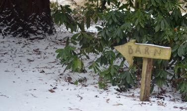 Snowy Barn Sign Arboretum