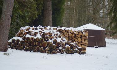 Winter Snow Charcoal Burner Arboretum