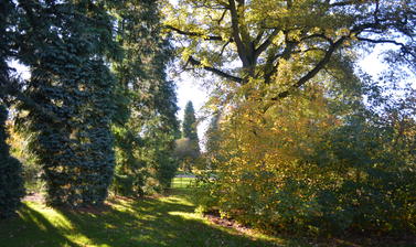 Sunset Arboretum