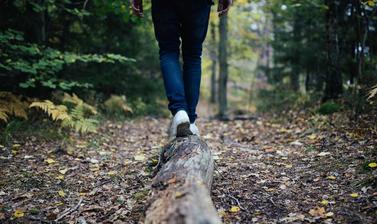 forest bathing