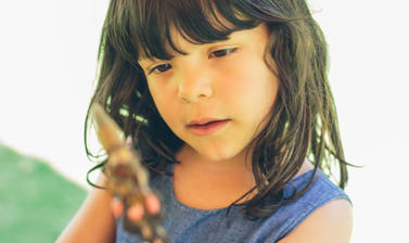 Family Friendly Activity Arboretum (Wallman Lo Res)