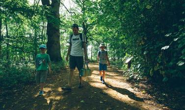 Family Walking Arboretum Woodland (Wallman Lo Res)