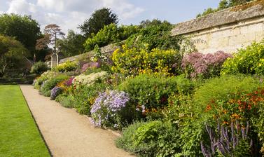 herbaceous border