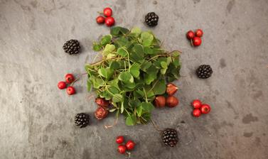 Foraged berries