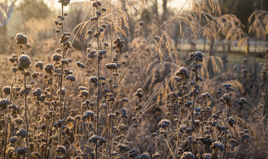 merton borders dsc8162