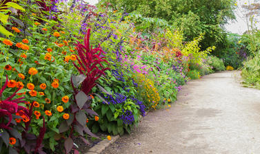 Autumn Border