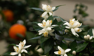 p3117898