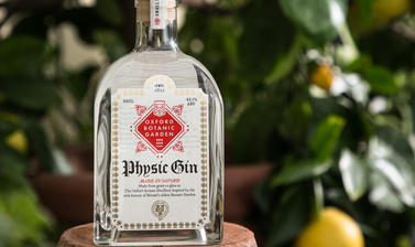 physic gin conservatory  shop