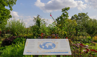 plants that changed the world  oxford botanic garden  lower garden 