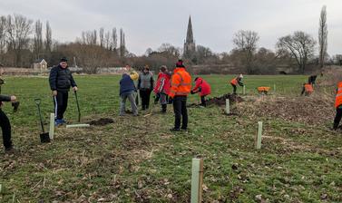 Tree planting at Olney