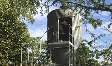 A picture of a Silo in Sarah Eberle's resilience garden, silhouetted against a blue sky, with the encroaching limbs of plants and trees all around.