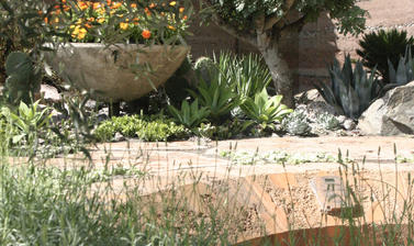 A shot of Sarah Eberle's '600 Days' garden, showcasing all the textures at work within the martian garden. The foreground is dominated by frothy grasses, in the midground and far away to the back is the hard red surface of Mars, elsewhere are plants